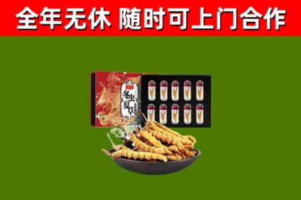 高淳区回收冬虫夏草价格